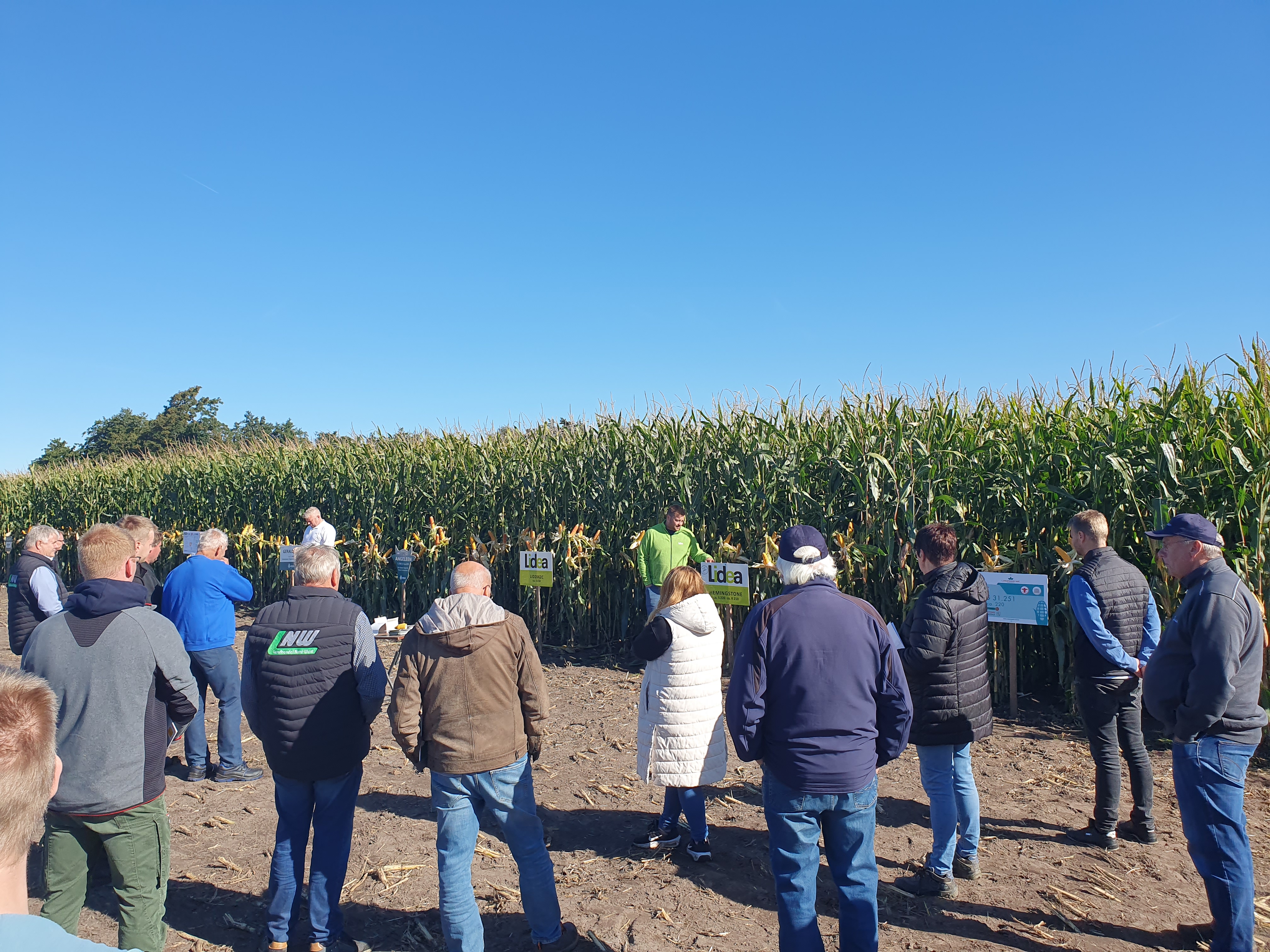 newsimgupload/LNW Maisfeldtag mit Zwischenfrucht in Leezdorf.jpg